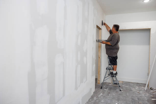 Best Emergency Mold Remediation  in Oak Leaf, TX