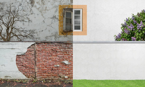  Oak Leaf, TX Mold Removal Pros