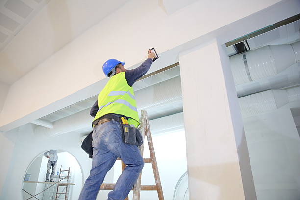 Trusted Oak Leaf, TX Mold Removal Experts