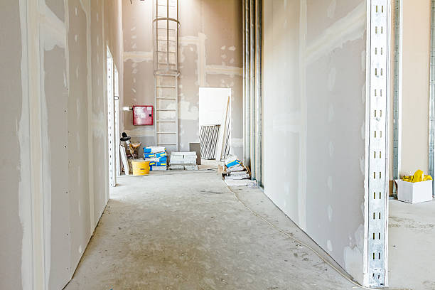 Mold Odor Removal Services in Oak Leaf, TX