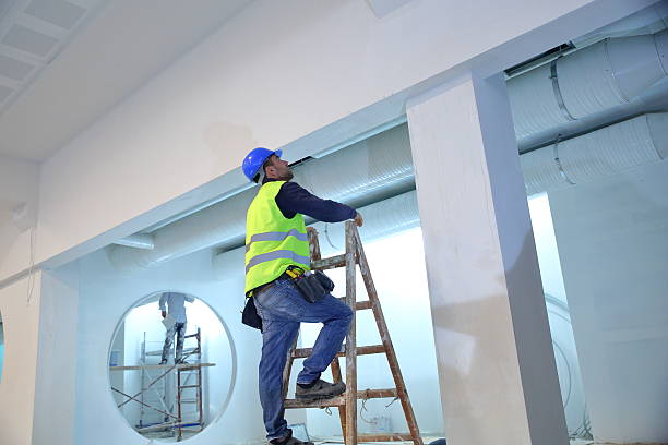 Best Air Quality Testing for Mold Spores  in Oak Leaf, TX