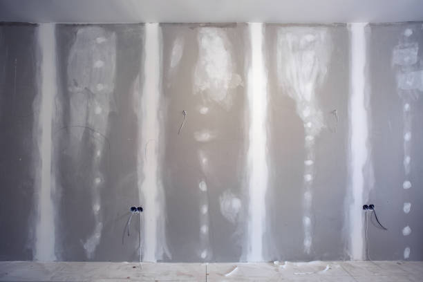 Best Basement Mold Removal  in Oak Leaf, TX